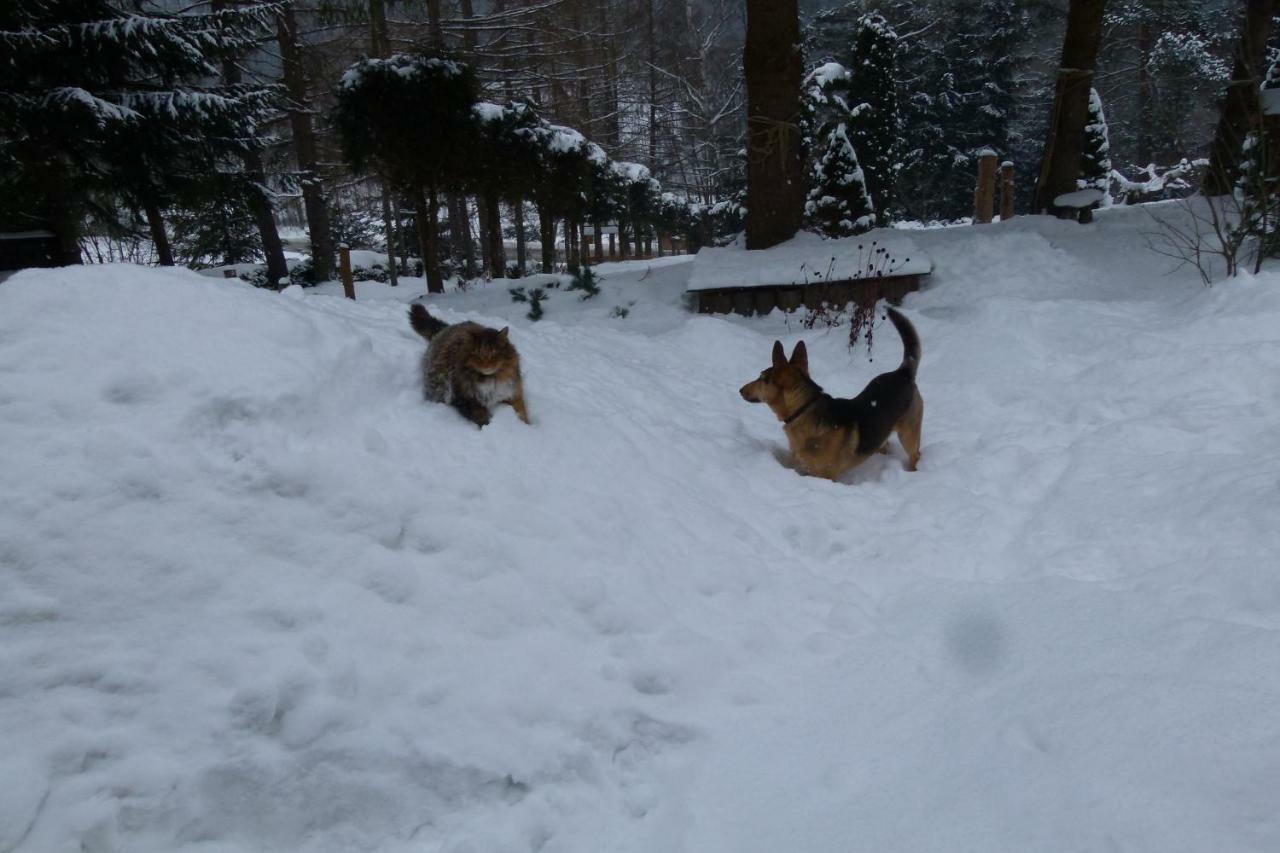 Agroturystyka U Psotki Kuzmina Extérieur photo
